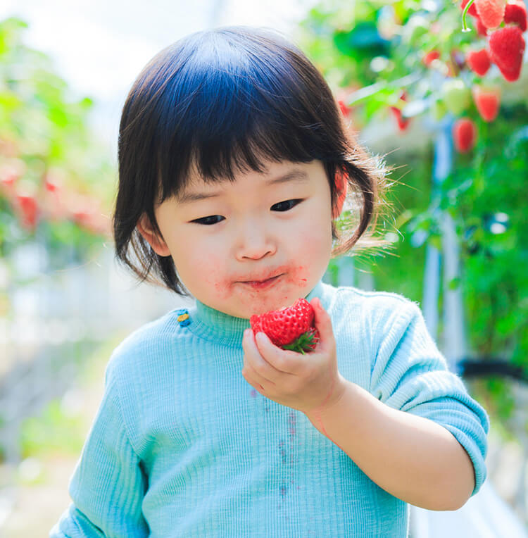子どもがいちごを食べる様子