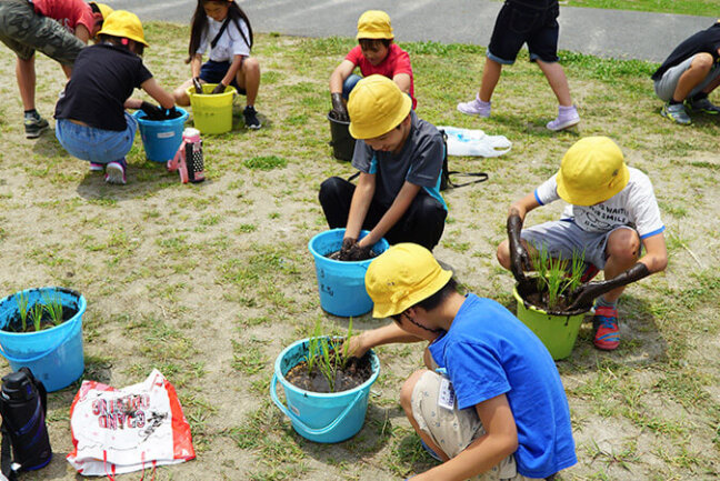 パルシステム東京の「お米の出前授業」