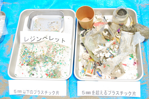 お台場の砂浜でマイクロプラスチック採取体験！