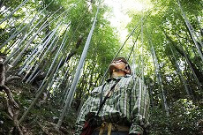 心地よい風が吹き抜けます…