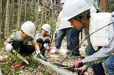 すぐコツを掴んだ子どもたちを見守ります。