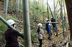 玉切りした竹を運び出し。ここが一苦労！