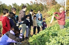 オプション開催の収穫体験も大好評！