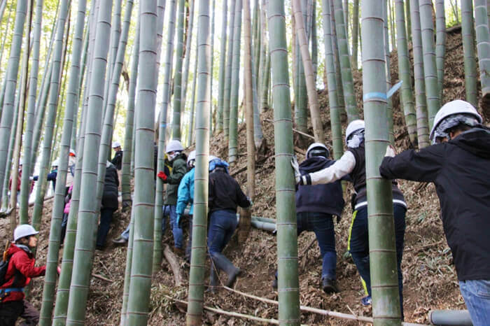 尾根まであと少し！いなぎめぐみの里山で竹の伐採と道づくりが進んでいます。