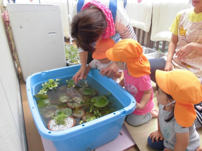 ▲赤ちゃんがいると思うとちょっと緊張。