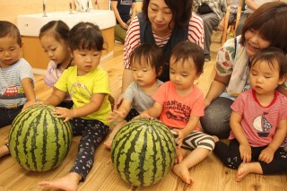 ▲産直産地「飯塚農場（新潟県）」のすいか。 今年も大きくて立派で美味しそう!! 産地の方のご厚意に感謝です。