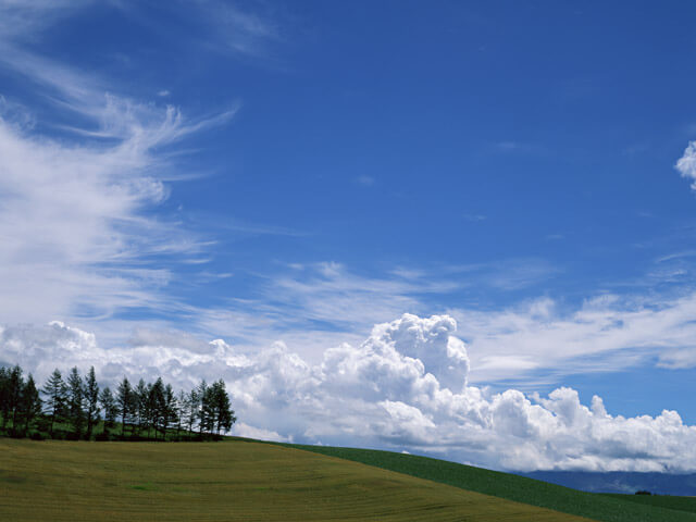 子育て個育てワークショップ わたし と 母 のものがたりー息苦しさが生き苦しさにつながってー 生活協同組合 パルシステム東京