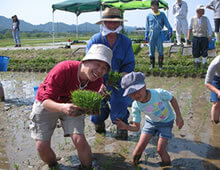 あきたこまち田植え体験