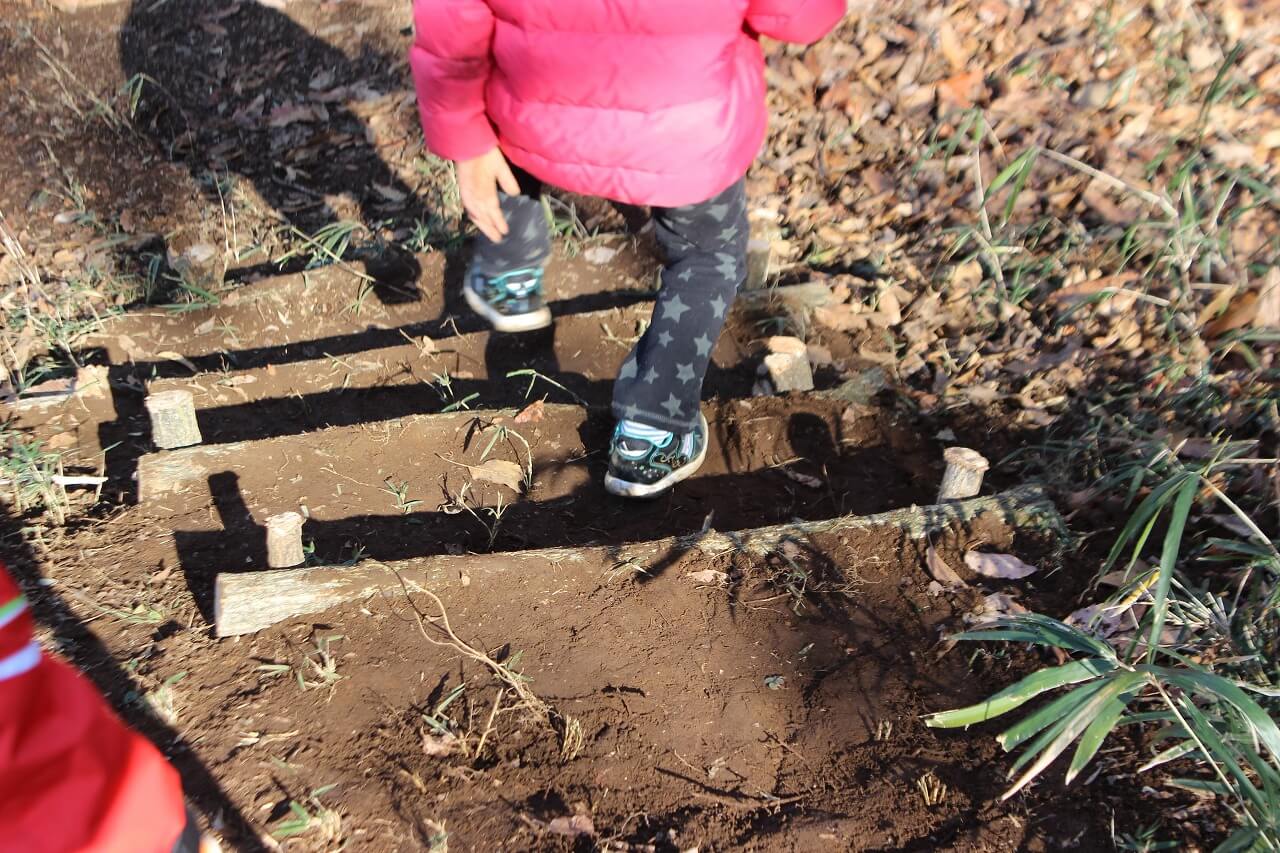 階段もできたよ！里山なかま１月