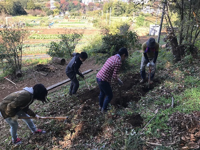 鍬（くわ）とスコップで土ならし