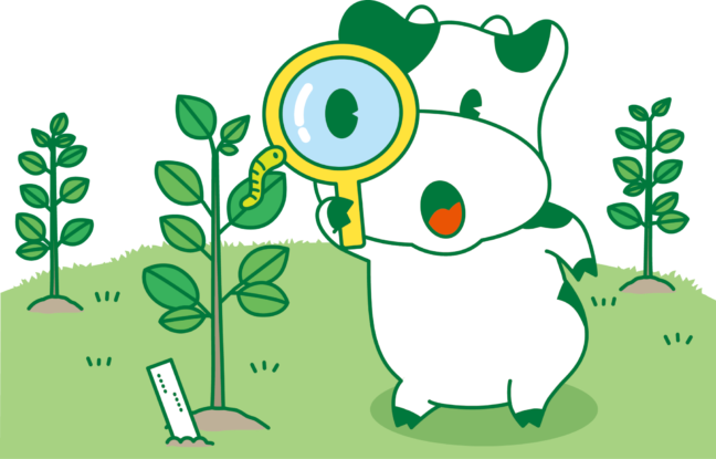 バケツ稲(ミニ田んぼ稲)に挑戦!自分たちだけの小さな田んぼで稲を育てよう!