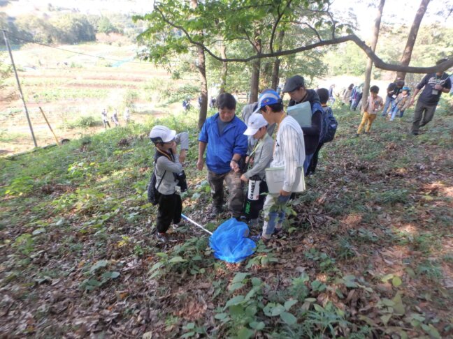 2019年11月　生き物モニタリング調査（いなぎめぐみの里山）