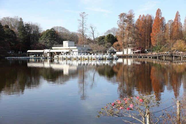井の頭恩賜公園　池のために、ひと肌脱いで！ひと仕事！