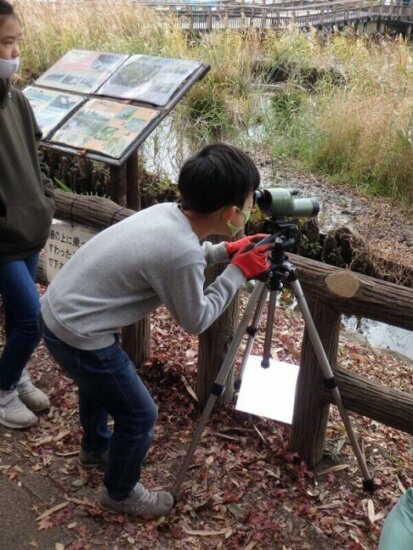 水鳥の観察