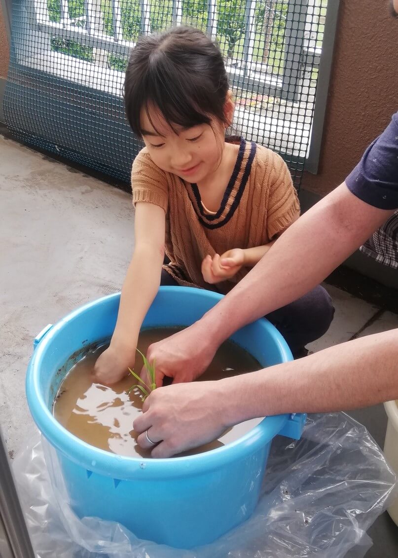 パパと一緒の苗植えはたのしいね(^^♪