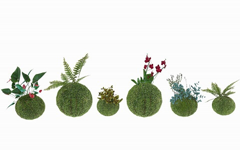 苔のインテリア「苔玉」つくり