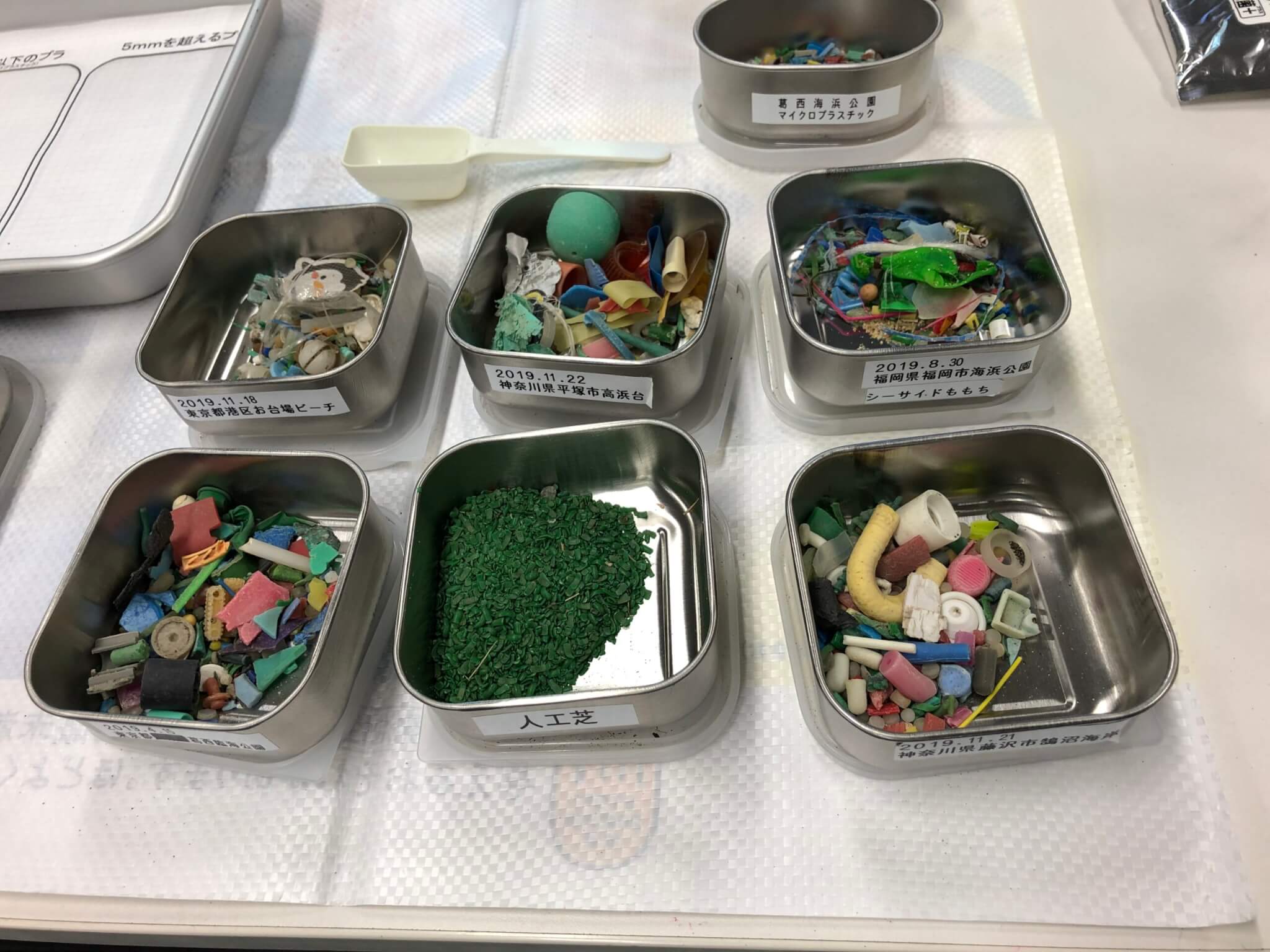 マイクロプラスチックごみの観察