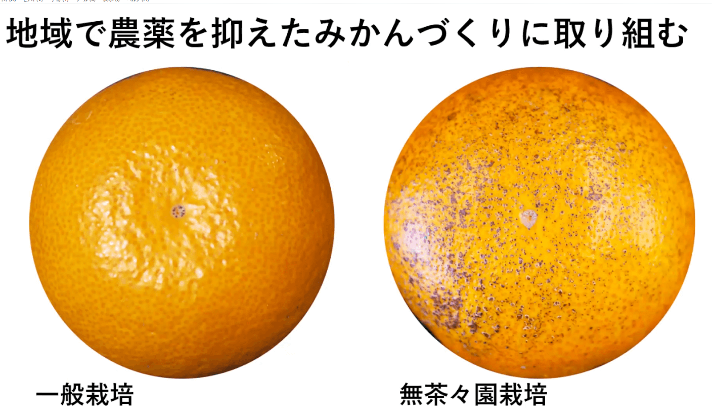 外見より味の良さが大切