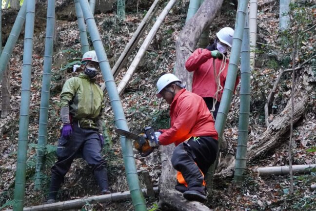 安全面に気を付けながら、竹を切り出します