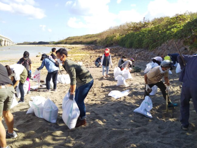 西海岸海没地区漂着軽石回収