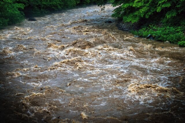 2. 大雨の日がふえ、こう水などのさい害がふえる