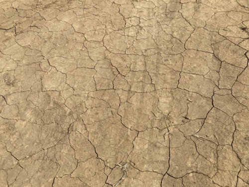 3. 雨が少ない国では森林火さいが起こる