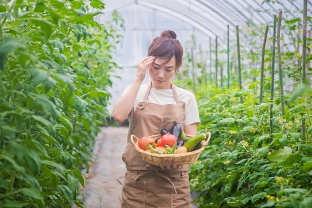 4. 米や小麦などの農作物のしゅうかくりょうがへる