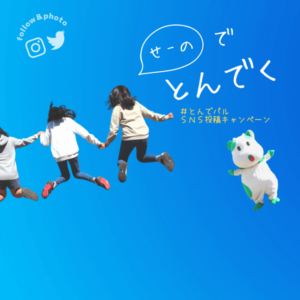 せーので とんでく『#とんでパル』キャンペーン ※本キャンペーンは終了しました