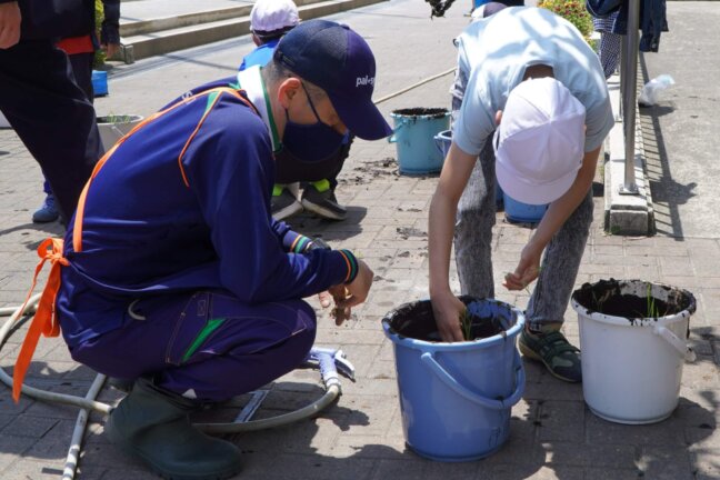 きょうの苗は産直米「茨城こしひかり」です。