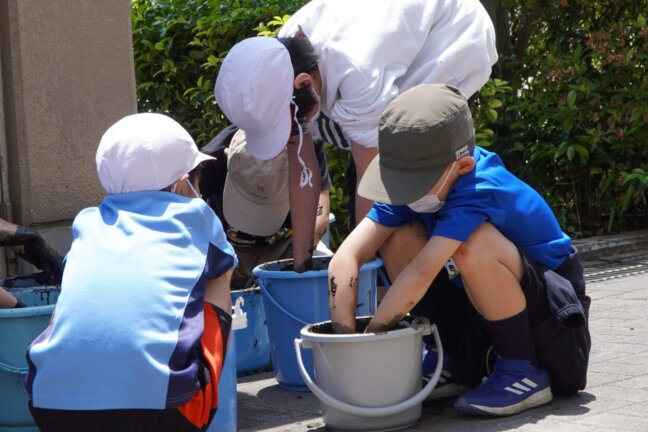 代掻きのようす。土のやわらかさは、耳たぶが目安です。