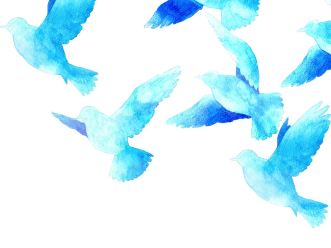 【オンライン】ウクライナ危機から考える「人権と平和」平和・憲法学習会