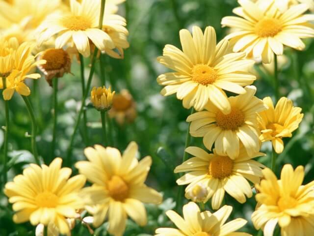 戦後80年企画 東京大空襲戦災資料センター見学