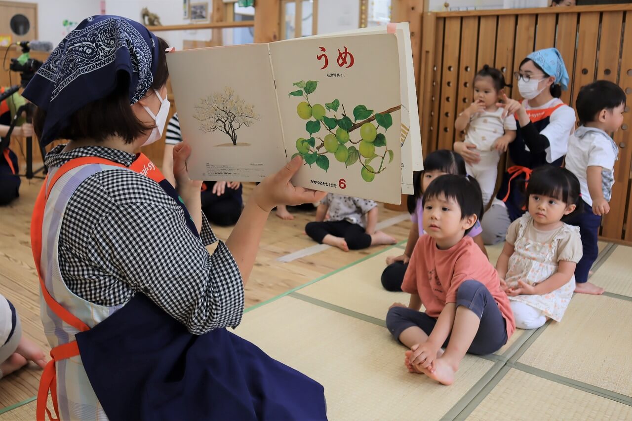 梅はこんなふうに実っているんだよ