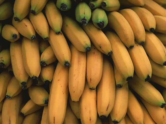 バランゴンバナナについて学ぼう！