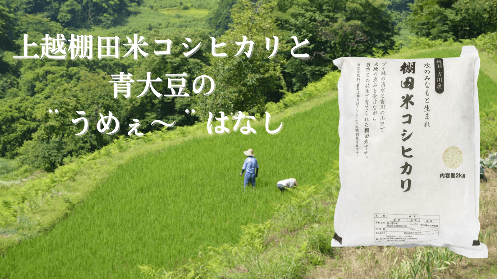 学習会「上越棚田米コシヒカリと青大豆の『うめぇ～』はなし」
