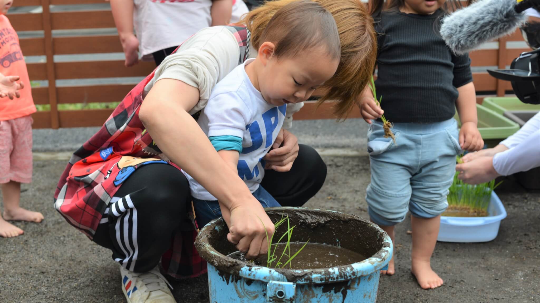 5月8日“ごはんの日”にバケツで苗植えに挑戦！｜認証保育所ぱる★キッズ足立