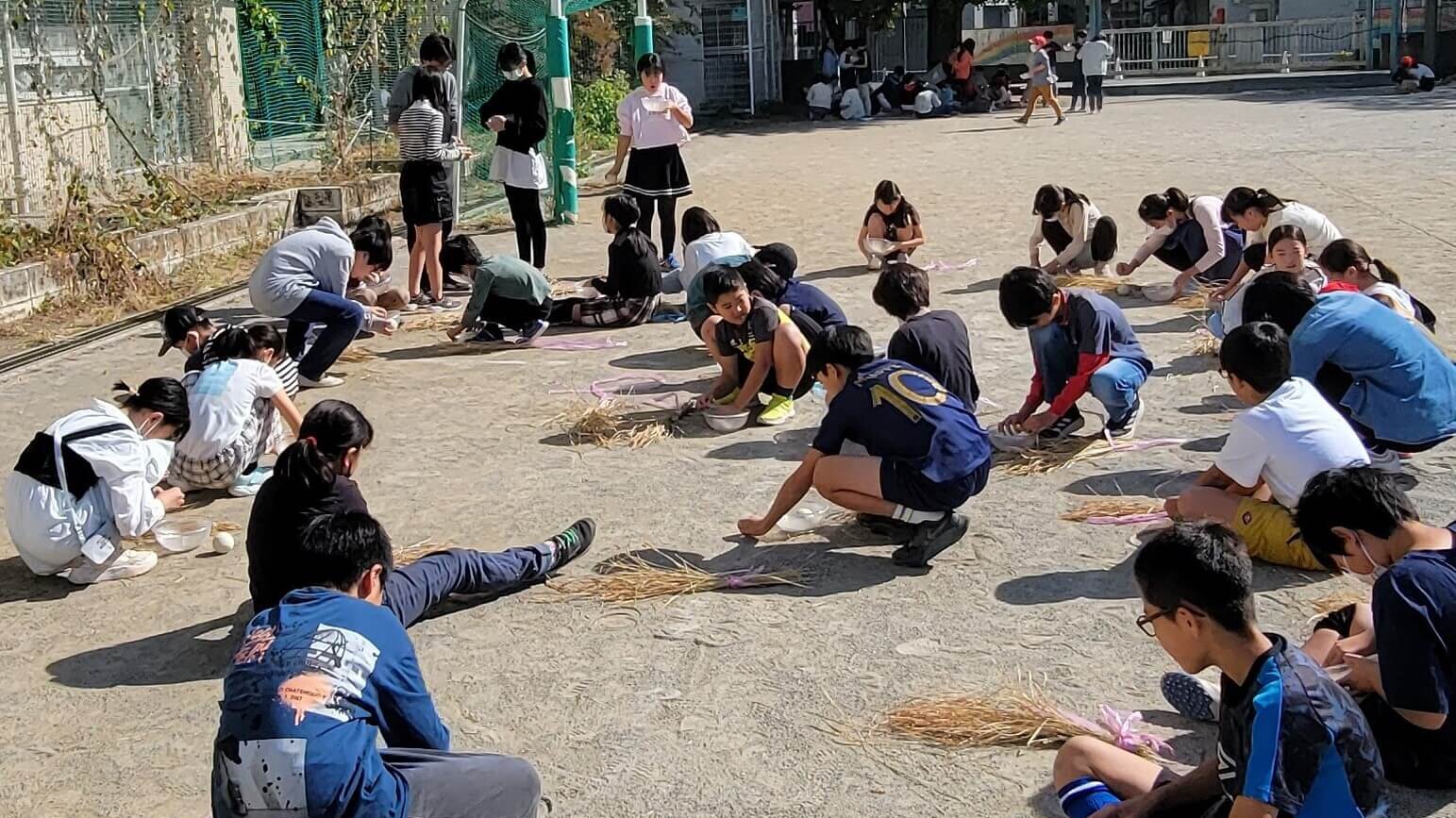 「脱穀・籾すり実習」プログラム内容