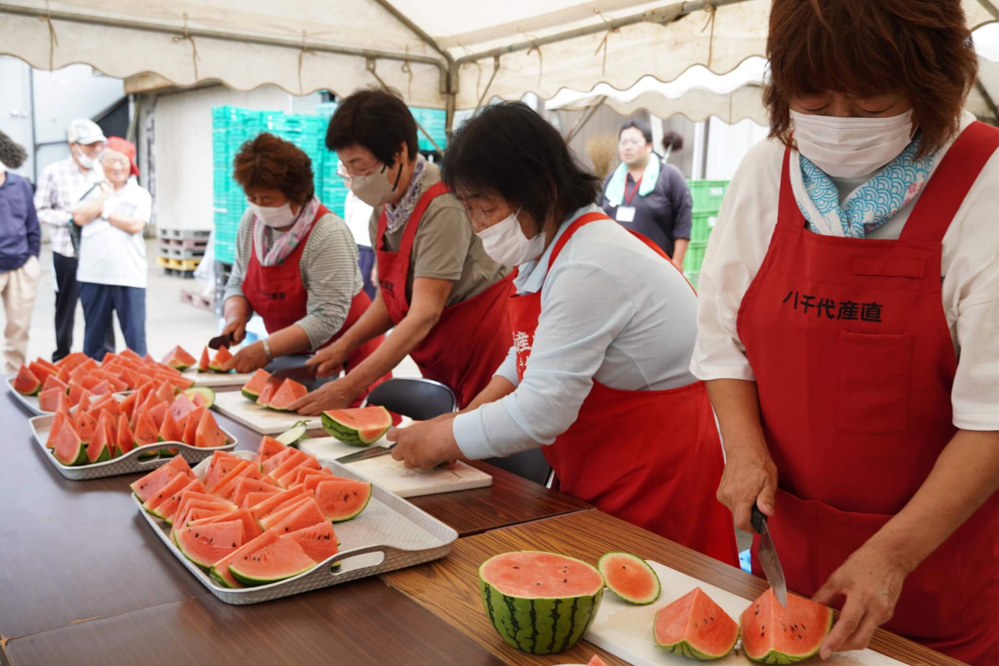 自分の目でたしかめる ！｜ 八千代産直「小玉すいか」の 公開確認会を開催しました。