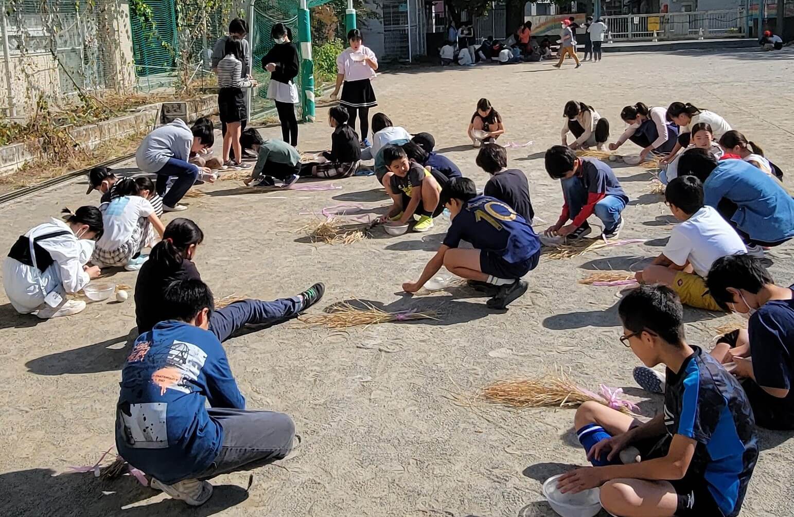 2023年度（令和5年度） パルシステム東京教育支援活動「お米の出前授業」実施校