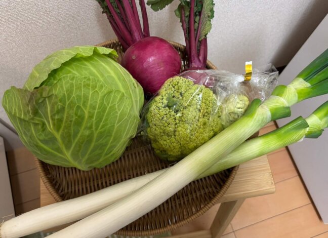 森さんイチオシの「ししとう」