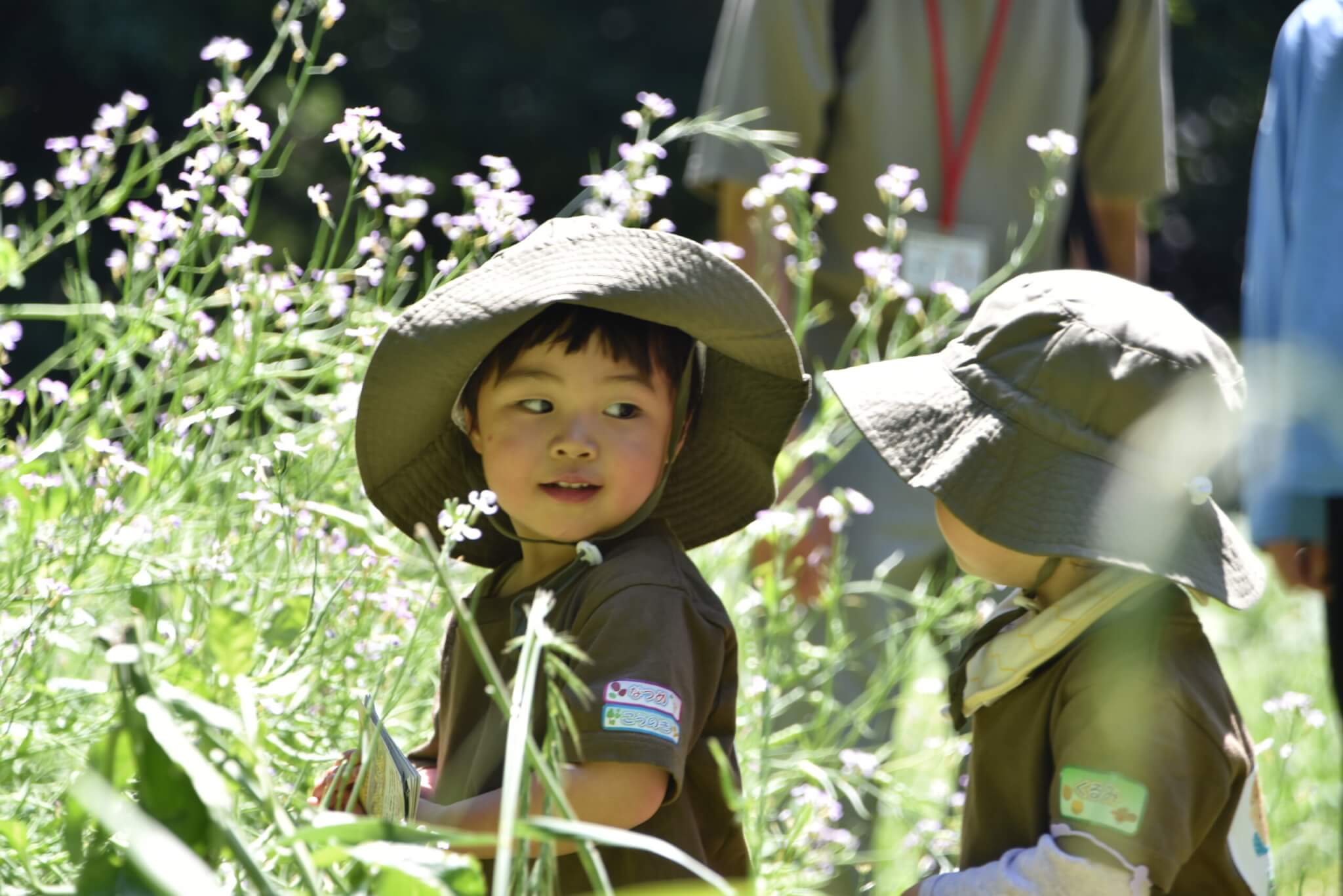 「ぱる★キッズ探険隊」仲間入りを目指して｜ 新宿御苑で ぱる★キッズ府中の自然遊び
