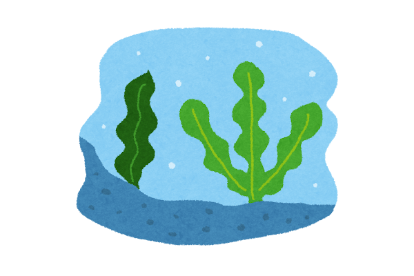 乾物を使いこなそう!