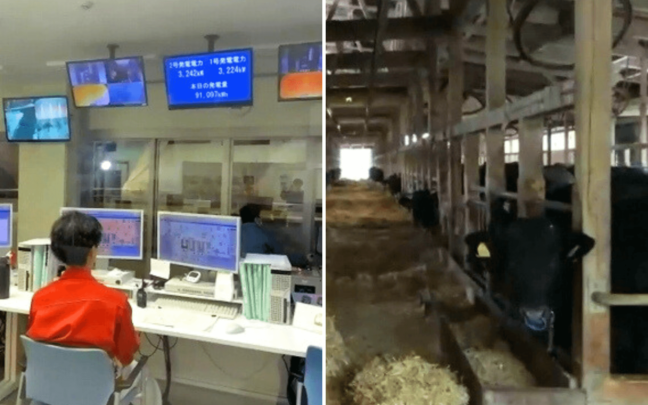 【明日への種まき】 パルシステムでんきの鶏ふん発電所と牛ふん発電所を結び、オンライン見学ツアーが開催されました