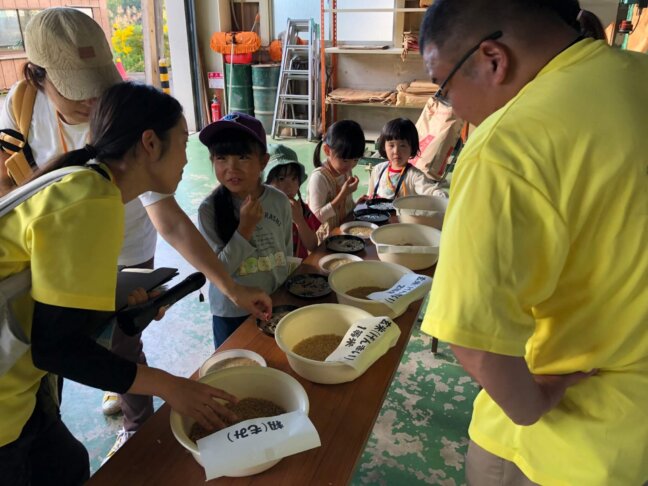 等級のちがいについて