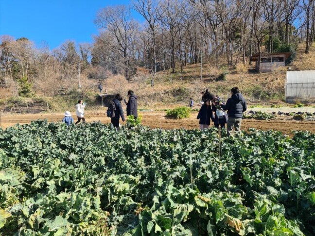 いなぎめぐみの里山　2025年2月の体験企画