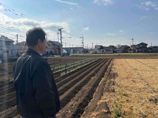 【地場野菜】小島農園(東京都清瀬市)