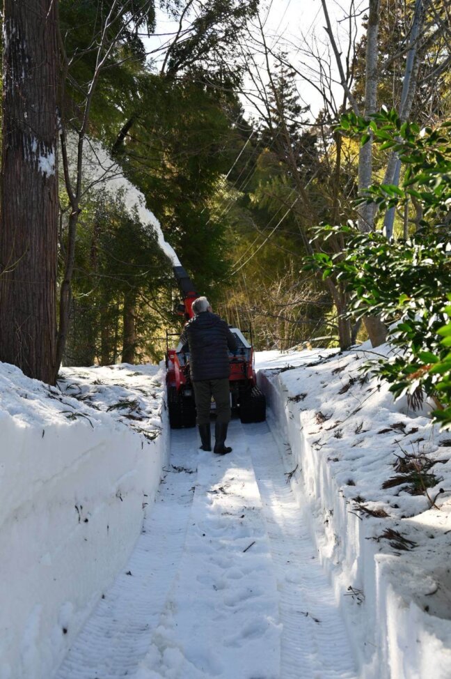 雪かきの様子