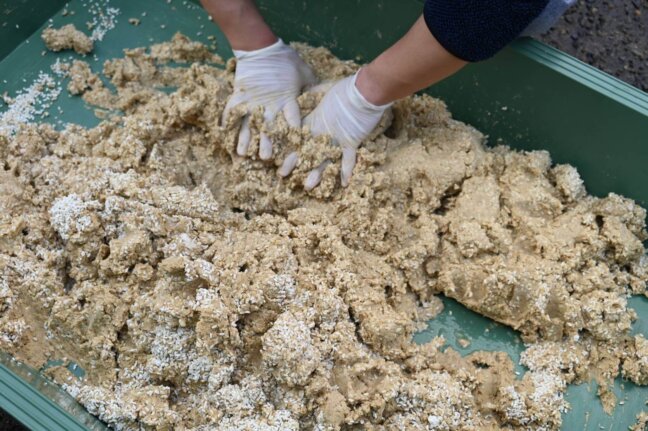 在来種の青大豆で手前味噌作り