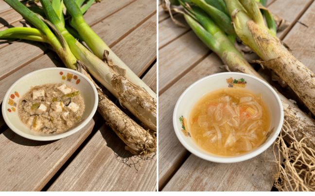 長ねぎの麻婆豆腐と味噌汁