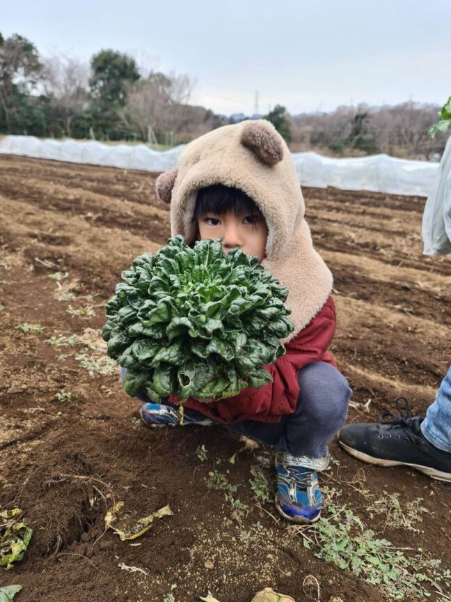 のらぼう菜＆菜花の収穫体験